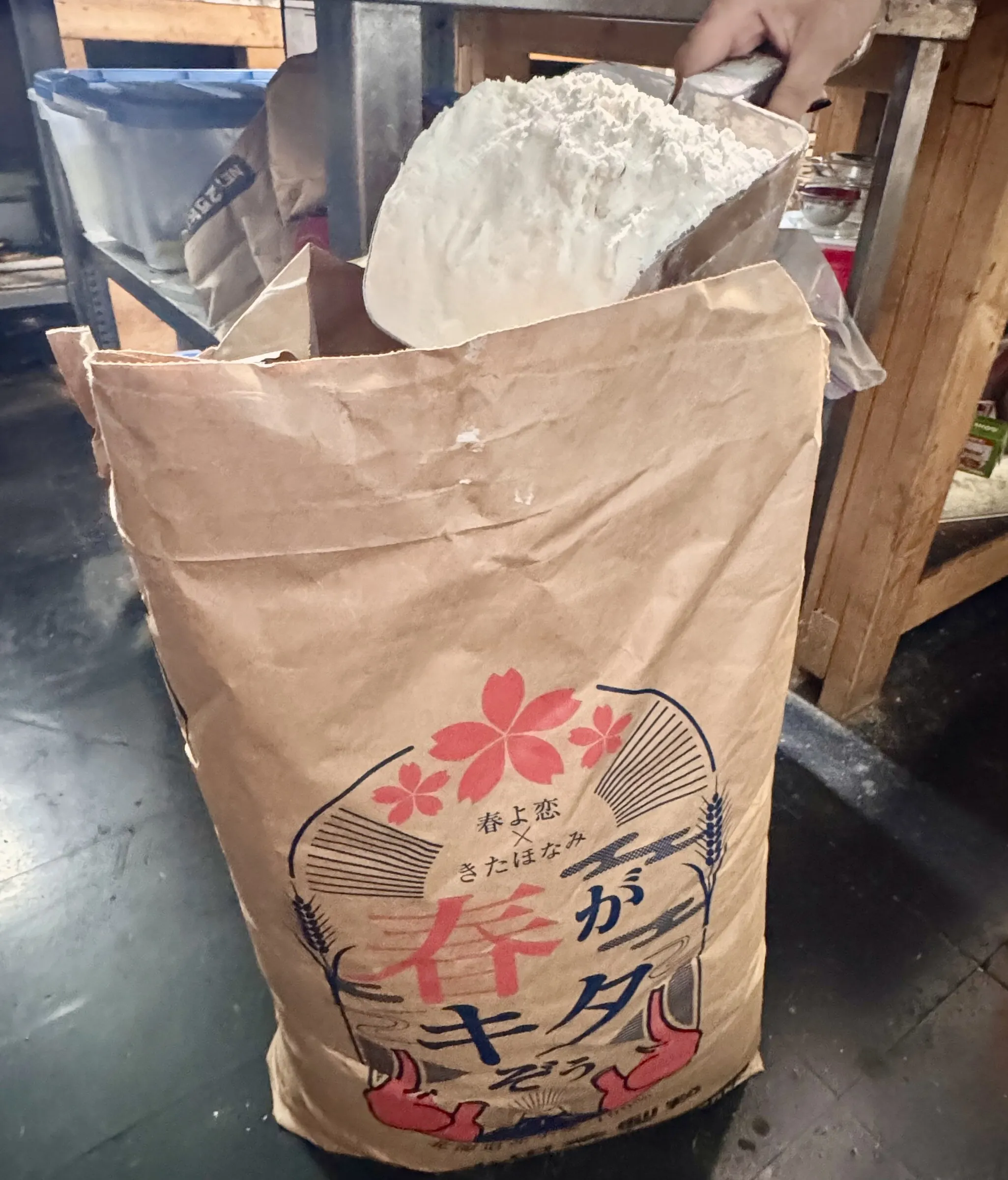 北海道産小麦